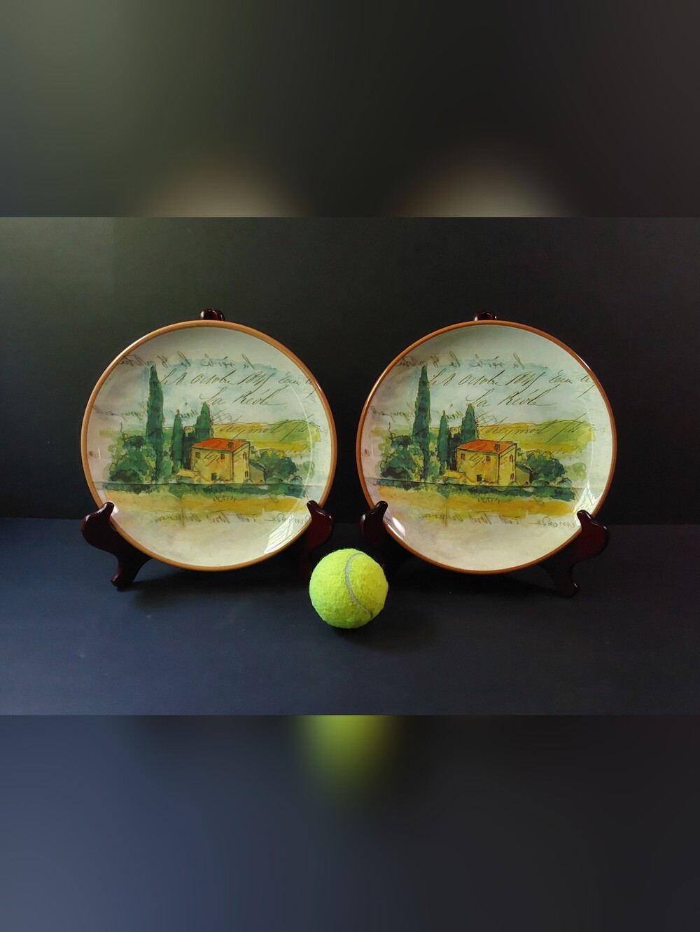 Williams-Sonoma SALAD/DESSERT Plates (2) PAYSAGE by Marc Lacaz 9.25" Dia